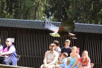 IMG_0255-11.jpg