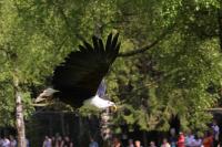 IMG_0267-11.jpg