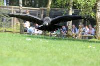 IMG_0296-11.jpg