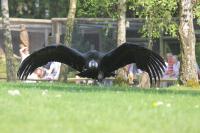IMG_0315-11.jpg
