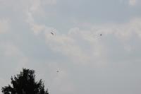 IMG_0378-11.jpg