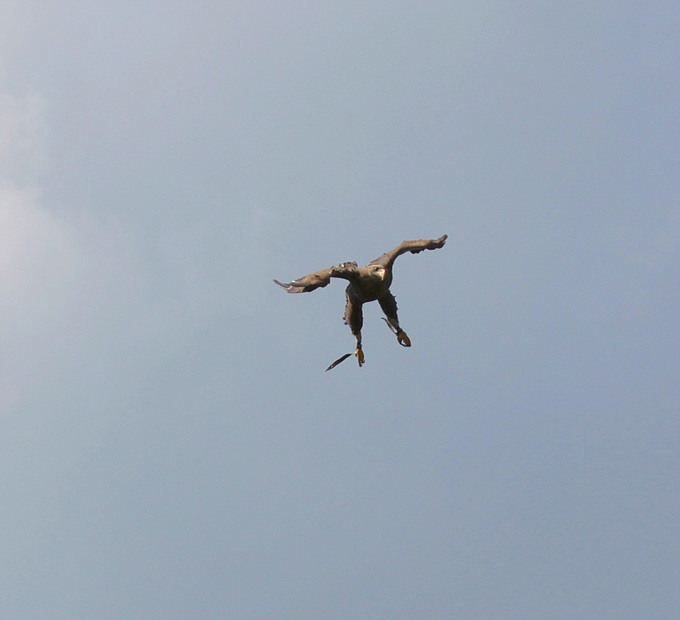 IMG_0512-11.jpg