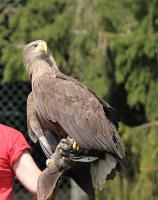IMG_0531-11.jpg