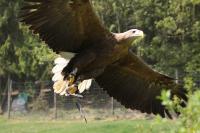 IMG_0546-11.jpg