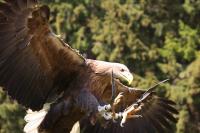 IMG_0570-11.jpg