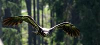IMG_0611-11.jpg