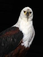 IMG_9098-11.jpg
