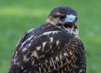 IMG_9144-11.jpg