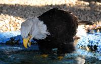 IMG_9198-11.jpg