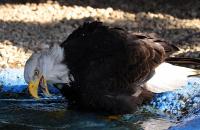 IMG_9219-11.jpg