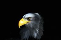 IMG_9234-11.jpg