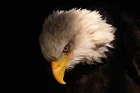 IMG_9255-11.jpg