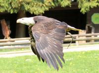 IMG_9442-11.jpg