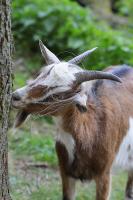IMG_9738-11.jpg