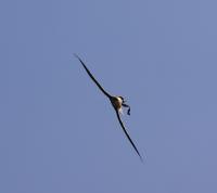 IMG_9841-11.jpg