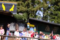 IMG_9963-11.jpg