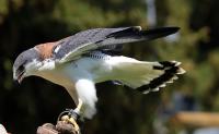 IMG_9968-11.jpg