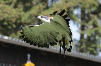 IMG_9992-11.jpg