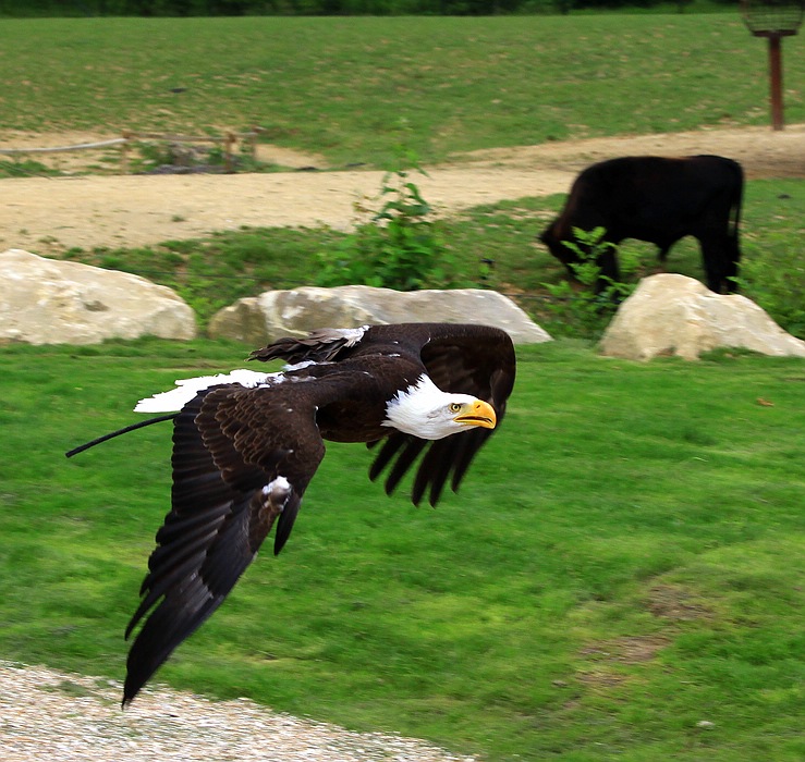 IMG_8583-11.jpg