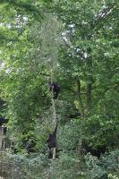 IMG_0427-11.jpg