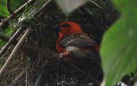 IMG_0802-11.jpg