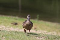 IMG_5847-11.jpg