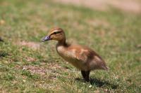 IMG_5892-11.jpg