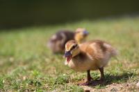 IMG_5948-11.jpg