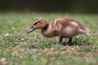 IMG_6163-11.jpg
