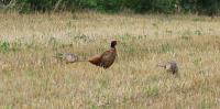 IMG_6313-11.jpg