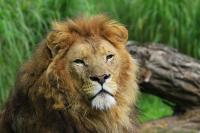 IMG_8250-11.jpg