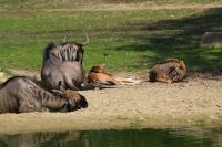 IMG_0056-11.jpg
