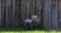 IMG_0131-11.jpg