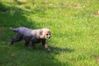 IMG_0164-11.jpg