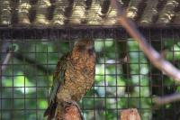 IMG_9409-11.jpg