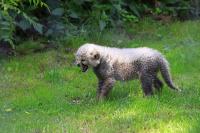 IMG_9754-11.jpg