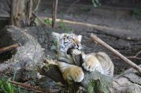 IMG_1589-11.jpg
