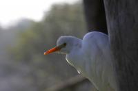 IMG_5313-11.jpg