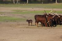 IMG_5365-11.jpg