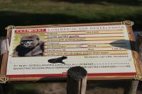 IMG_5401-11.jpg