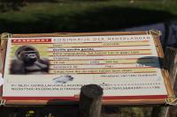 IMG_5402-11.jpg