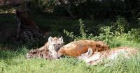 IMG_5418-11.jpg