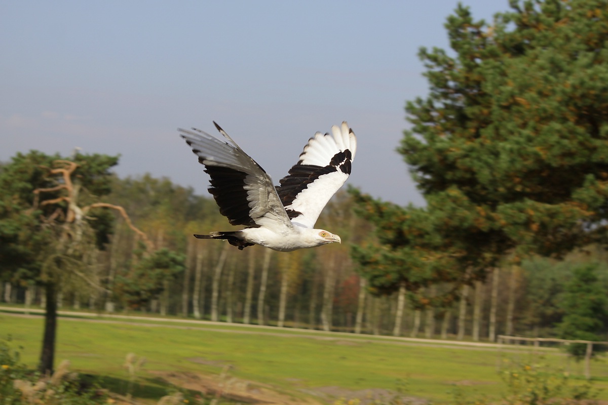 IMG_5531-11.jpg