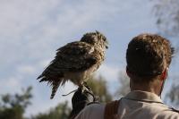 IMG_5579-11.jpg