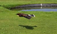 IMG_5613-11.jpg