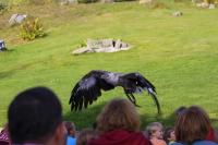 IMG_5685-11.jpg