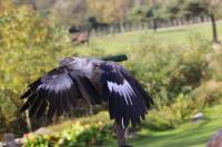 IMG_5688-11.jpg