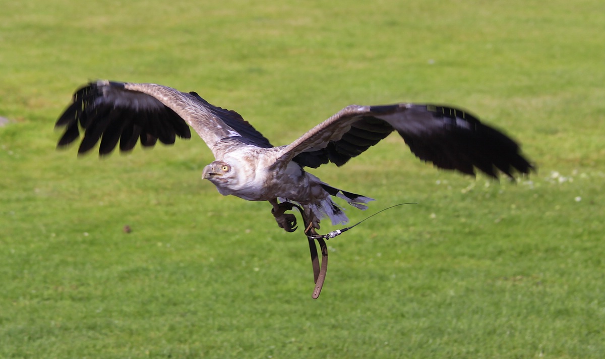 IMG_5704-11.jpg