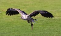 IMG_5704-11.jpg
