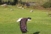 IMG_5731-11.jpg